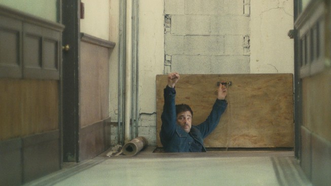 Image 5